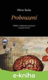 Probouzení