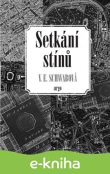 Setkání stínů