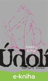Údolí