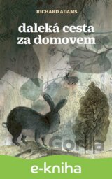 Daleká cesta za domovem