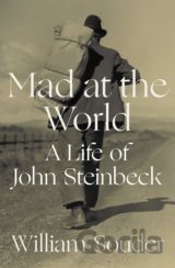 Mad at the World