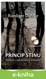 Princip stínu