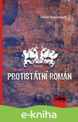 Protistátní román
