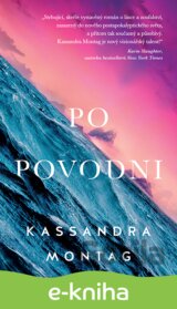 Po povodni