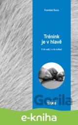 Trénink je v hlavě