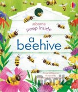 Peep Inside a Beehive