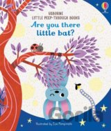 Are You There Little Bat?
