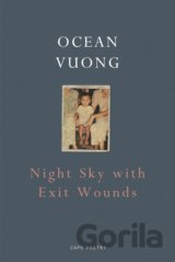 Night Sky with Exit Wounds