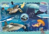 National Geographic Průzkum oceánu