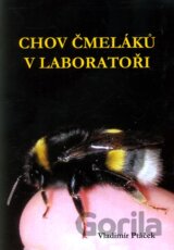 Chov čmeláků v laboratoři