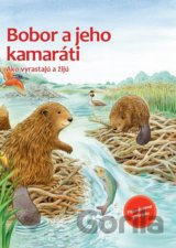 Bobor a jeho kamaráti
