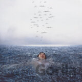 Shawn Mendes: Wonder LP