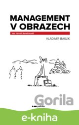 Management v obrazech