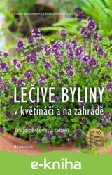 Léčivé byliny v květináči a na zahradě