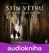 Stín větru