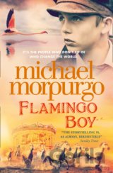 Flamingo Boy