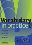 Vocabulary in Practice 6 - Upper Intermediate