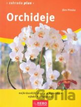 Orchideje