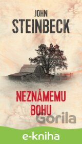 Neznámemu bohu