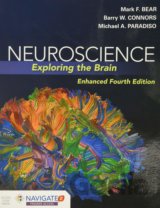 Neuroscience