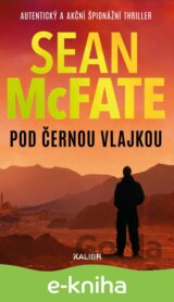 Pod černou vlajkou