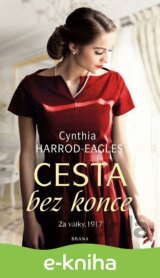 Za války, 1917: Cesta bez konce