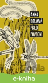Před povodní