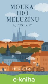Mouka pro meluzínu a jiné glosy