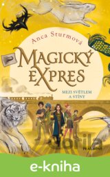 Magický expres: Mezi světlem a stíny