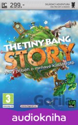 The Tiny Bang Story