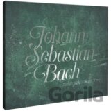 Milan Pála: J. S. BACH - SONATAS AND PARTITAS FOR SOLO VIOLIN
