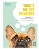 What's My Dog Thinking?
