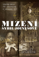 Mizení Sybil Joinesové