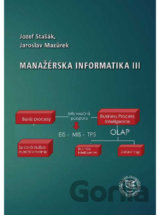 Manažérska informatika III