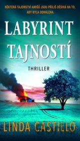 Labyrint tajností