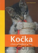 Kočka