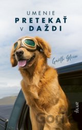 Umenie pretekať v daždi