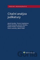 Citační analýza judikatury
