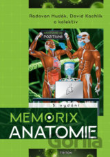 Memorix anatomie