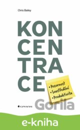 Koncentrace