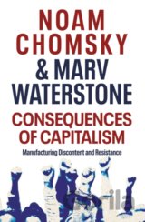Consequences of Capitalism
