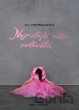 Nejrudější růže rozkvétá