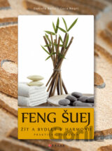 Feng šuej