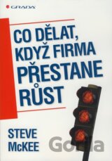 Co dělat, když firma přestane růst
