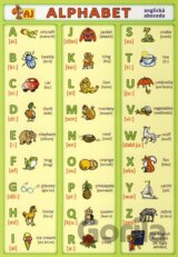 Alphabet - Anglická abeceda
