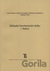 Základní biochemické dráhy v buňce