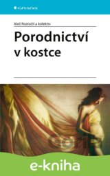 Porodnictví