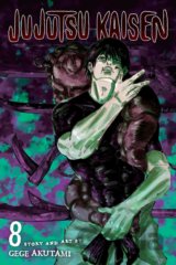 Jujutsu Kaisen 8