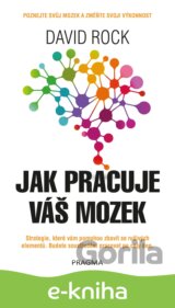 Jak pracuje váš mozek