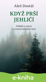 Když prší jehličí